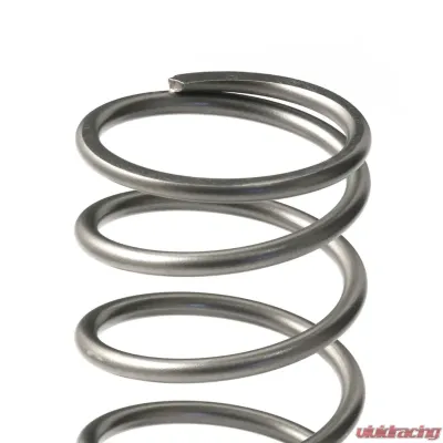 GFB EX50 13psi Wastegate Spring (Outer) - 7113