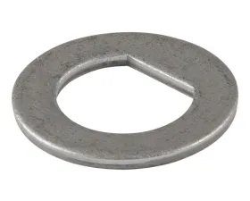 CURT D-Flat Spindle Washer; 1