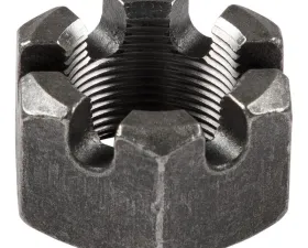 CURT 6-Slot Castle Spindle Nut - 1-1/2