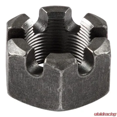 CURT 6-Slot Castle Spindle Nut - 1-1/2"-12 Threads, - 181894