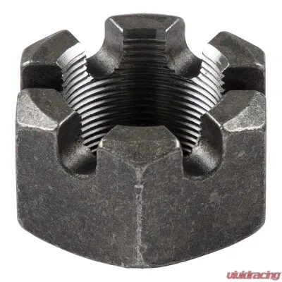 CURT 6-Slot Castle Spindle Nut - 1-3/4"-12 Threads - 330037