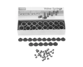 Edelbrock Engine Valve Spring Kit