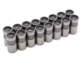 Edelbrock Engine Valve Lifter Kit
