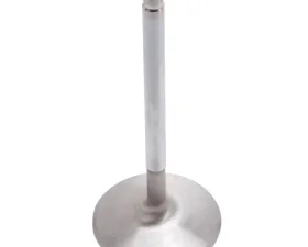 Edelbrock Engine Intake Valve