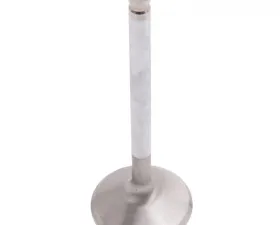Edelbrock Engine Exhaust Valve