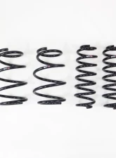 RS-R Down Suspension Lowering Springs Toyota RAV4 2019-2021                                     - T073D - Image 2
