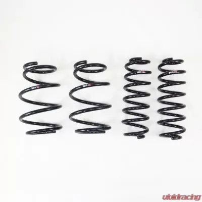 RS-R Down Suspension Lowering Springs Toyota RAV4 2019-2021 - T073D
