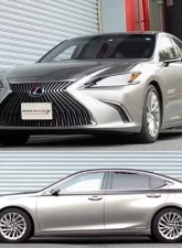 RS-R Down Suspension Lowering Springs Lexus ES300H 2019+                                     - T311D - Image 2