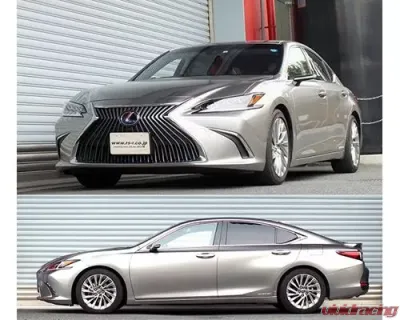 RS-R Down Suspension Lowering Springs Lexus ES300H 2019+ - T311D