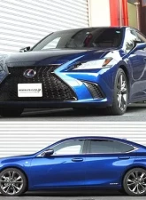 RS-R Down Suspension Lowering Springs Lexus ES300H 2019+                                     - T311D - Image 3
