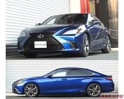 RS-R Down Suspension Lowering Springs Lexus ES300H 2019+ - T311D
