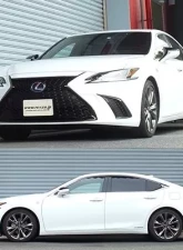 RS-R Down Suspension Lowering Springs Lexus ES300H 2019+                                     - T311D - Image 4