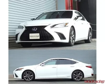 RS-R Down Suspension Lowering Springs Lexus ES300H 2019+ - T311D