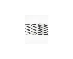 RS-R Ti2000 Down Suspension Lowering Springs Ford Mustang GT 2015+