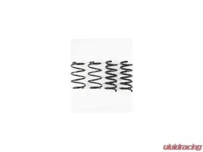 RS-R Ti2000 Down Suspension Lowering Springs Ford Mustang GT 2015+ - FO120D