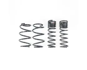 RS-R Ti2000 Down Suspension Lowering Springs Mazda Mazdaspeed 6 2005-2008