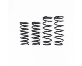 RS-R Down Suspension Lowering Springs Toyota Mirai 2021+