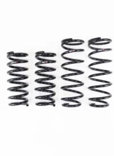 RS-R Down Suspension Lowering Springs Toyota Mirai 2021+                                     - T011D - Image 2