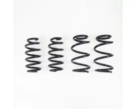 RS-R Ti2000 Down Suspension Lowering Springs Tesla Model 3 AWD 2019+