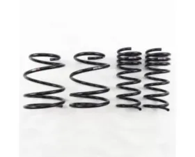 RS-R Down Suspension Lowering Springs Subaru WRX Sti VAB 2015+