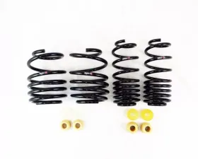 RS-R Down Sus Springs Honda Civic Type R 2023+