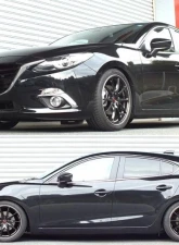 RS-R Sports-I Coilovers Mazda Mazda 3 14-18                                     - XBIM140M - Image 5