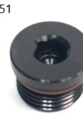 Radium Engineering 10AN ORB Plug                                     - 14-0351 - Image 2
