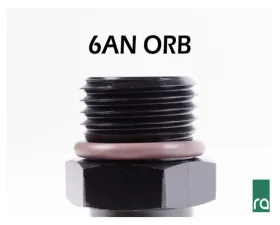 Radium Engineering 6AN ORB To M12X1.0MM Male