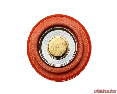 Radium Engineering Diaphragm Service Replacement FPR - 18-0017
