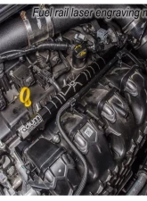 Radium Engineering Port Injection Kit Ford Focus ST | Mustang | Focus RS 2013+                                     - 20-0326 - Image 4