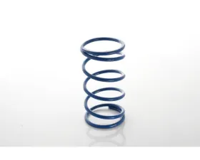 Precision Turbo & Engine Gen2 40mm Blue 4 PSI Spring