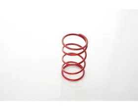Precision Turbo & Engine Gen2 40mm Orange 10 PSI Spring