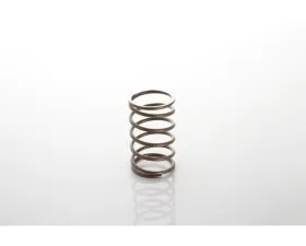 Precision Turbo & Engine Wastegate 1.5 PSI Small Natural Spring