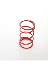 Precision Turbo & Engine Wastegate 6 PSI Medium Red Spring                                     - PBO085-3204 - Image 2