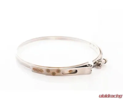 Precision Turbo & Engine Promod Compressor Cover - Center Housing 9 Inch Clamp V-Band Clamp - PTP071-1621