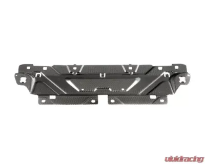 AutoTecknic Dry Carbon Fiber Cooling Shroud BMW G22 | G26  M440i 4-Series - BM-0004-M440i