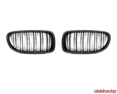 AutoTecknic Carbon Fiber Dual-Slats Front Grilles BMW F10 5-Series M5 - BM-0067-DS-CF