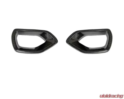 AutoTecknic Dry Carbon Grille Snorkel Set Dodge Charger SRT Scat Pack 2015-2021 - DG-0002