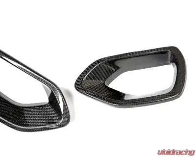 AutoTecknic Dry Carbon Grille Snorkel Set Dodge Charger SRT Scat Pack 2015-2021 - DG-0002
