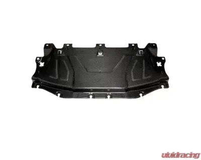 AutoTecknic Dry Carbon Fiber Cooling Plate Toyota A90 Supra 2020-2024 - TO-0007