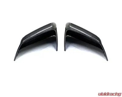 AutoTecknic Dry Carbon Fiber Mirror Covers Tesla Model Y - TS-0004