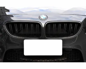 Auto Tecknic Dual-Slats Carbon Fiber Front Grille Set for BMW F06 6-Series | M6 Gran Coupe 2006-2019
