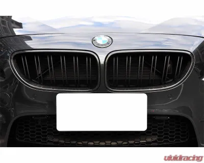 Auto Tecknic Dual-Slats Carbon Fiber Front Grille Set for BMW F06 6-Series | M6 Gran Coupe 2006-2019 - ATK-BM-0612-CF-3
