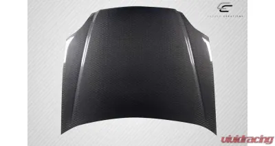 1999-2000 Honda Civic Carbon Creations Geo6ix Dritech OEM Look Hood - 1 Piece - 119199
