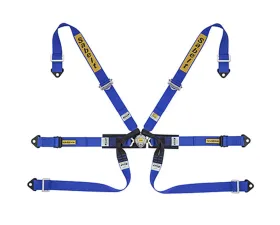 Sabelt FIA8853-2016 Silver Formula Racing Harness w/ 2-Inch Blue Aluminum Pull Up Straps & Belts