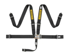 Sabelt SFI 16.1 Steel Saloon Harness 3 Inch Latch & Link - Black