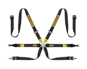 Sabelt Porsche 6-Point FIA8853-2016 Silver GT Racing Harness w/ 2 Inch Porsche Lap Mounts & Black Long Crotch Belts