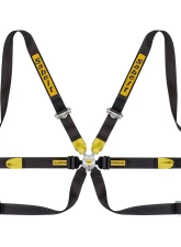 Sabelt Porsche 6-Point FIA8853-2016 Silver GT Racing Harness w/ 2 Inch Porsche Lap Mounts & Black Long Crotch Belts                                     - CFCI22100024 - Image 3