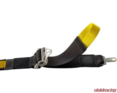Sabelt Porsche 6-Point FIA8853-2016 Silver GT Racing Harness w/ 2 Inch Porsche Lap Mounts & Black Long Crotch Belts - CFCI22100024