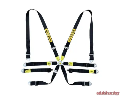 Sabelt FIA8853-2016 Enduro Silver Saloon 2 Inch Double Lap Racing Harness - Black - CFCI22100056